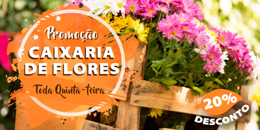 Promoção caixarias de flores - toda quinta-feira 20% de desconto