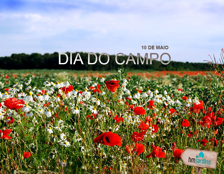 10 de Maio – Dia do Campo | HM Jardins