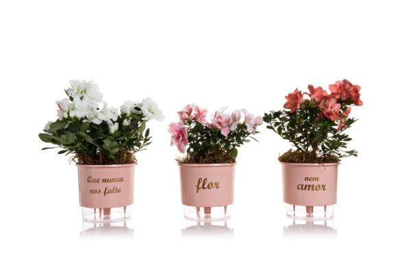 Vasos Autoirrigáveis Flor e Amor – Rosa Quartz