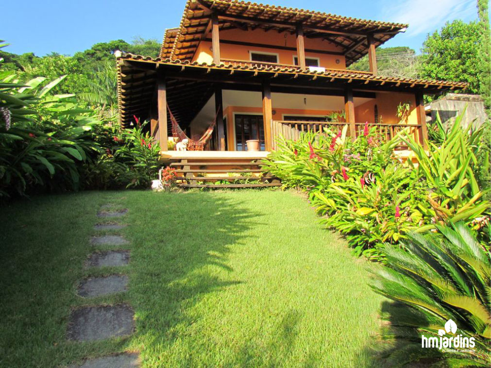 Plantas para sua casa de praia  HM Jardins - Floricultura e Jardinagem