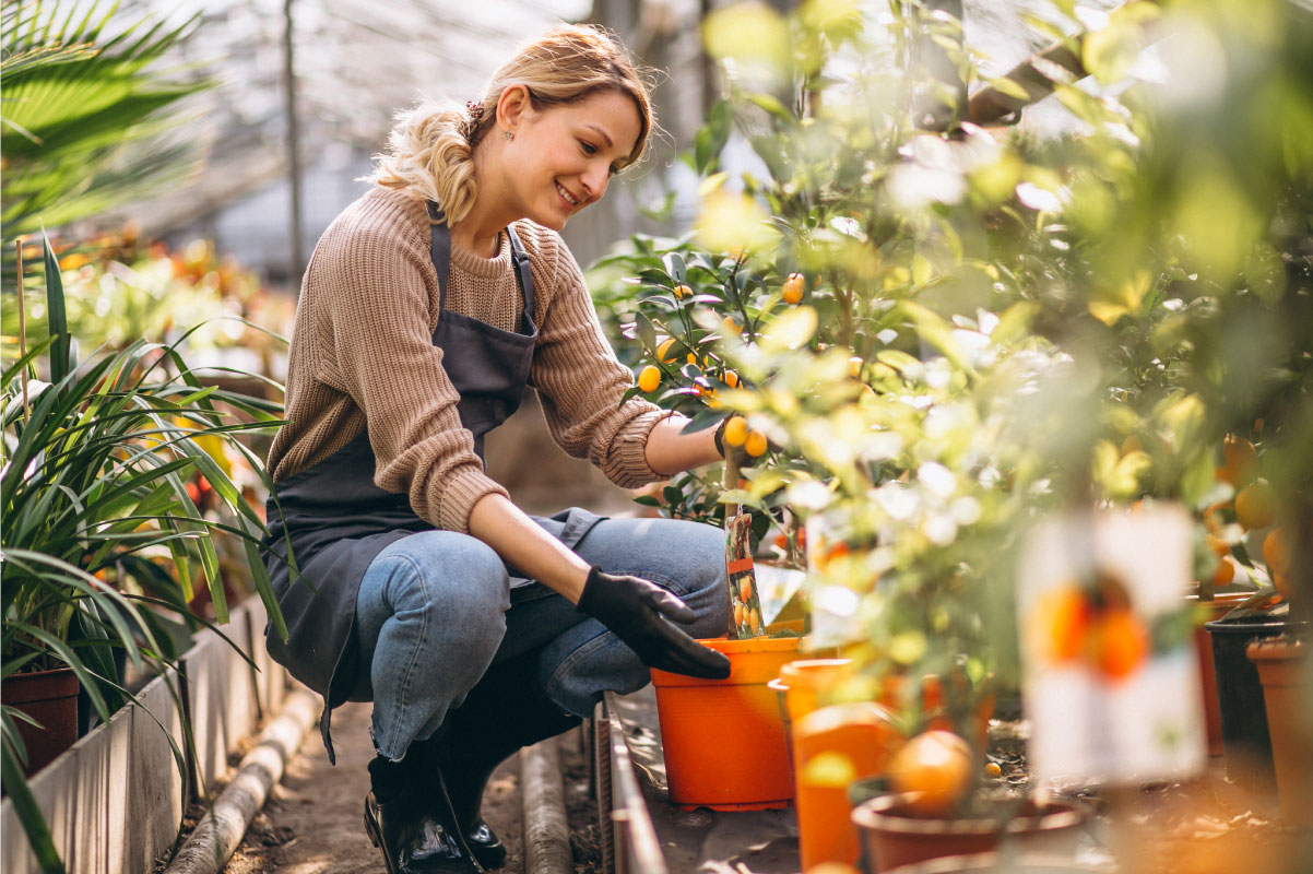 Benefícios que a jardinagem traz para a saúde mental